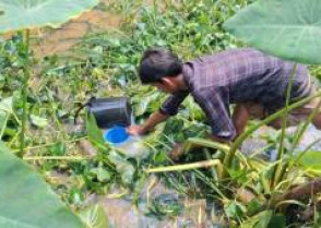 তেলবাহি ট্রেন লাইনচ্যুত : বালতি-বাটি নিয়ে তেল সংগ্রহের হিড়িক